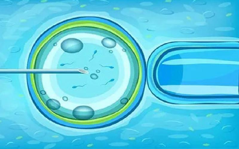 试管跪位意思代生